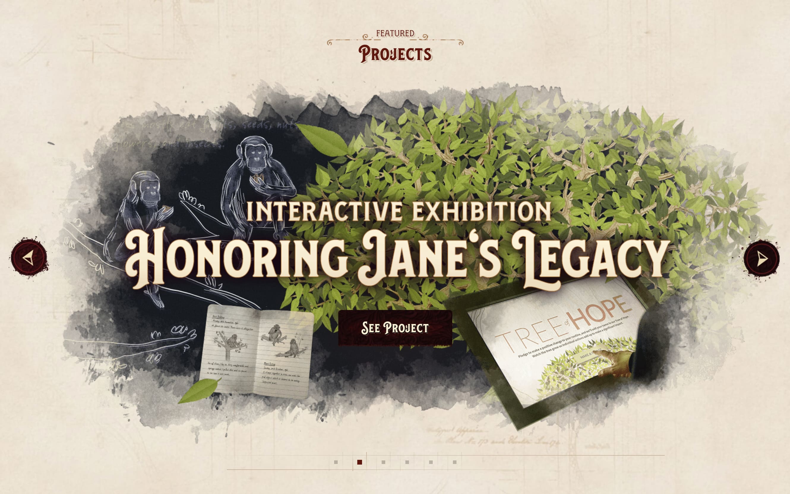 Featured Projects